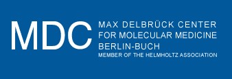 logo MDC TP6.jpg